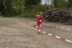 2026-04-18_17-37-02_299