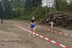 2026-04-18_18-07-41_954